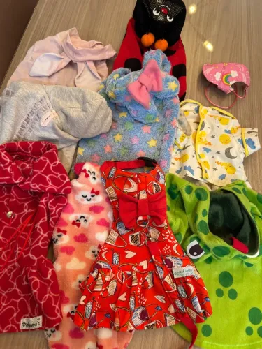 Kit roupas pet