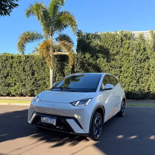 BYD Dolphin Mini (Elétrico) 2027