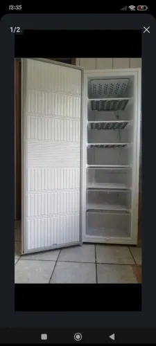 Freezer vertical