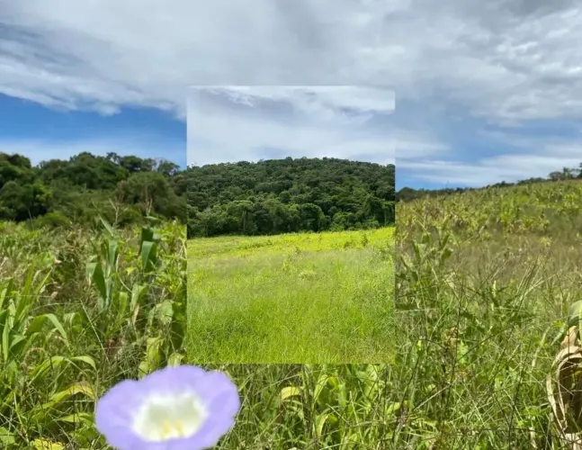 Ds(terreno com topografia excelente!!