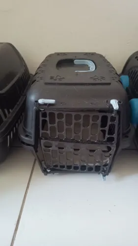 Caixa transporte de gato