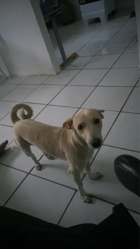 Doação 