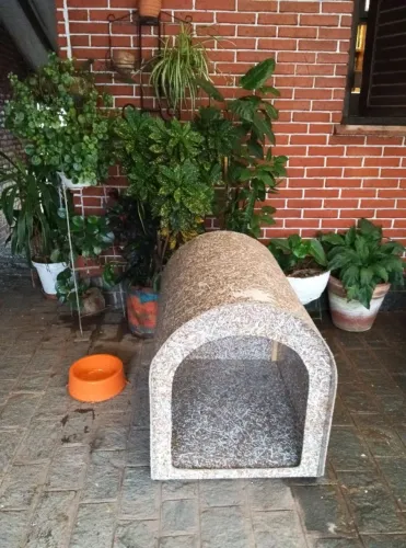 Casinha De Madeira Ecológica N5 Cachorro Porte Médio/grande