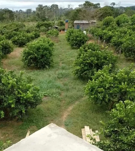 Vendo uma chácara no kinari.
