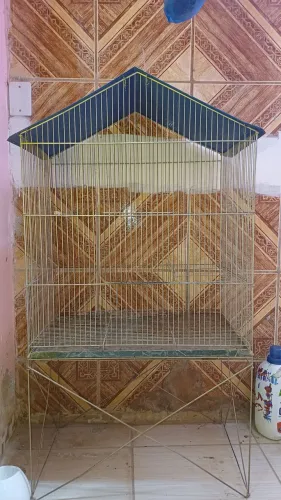 Gaiola grande pássaros
