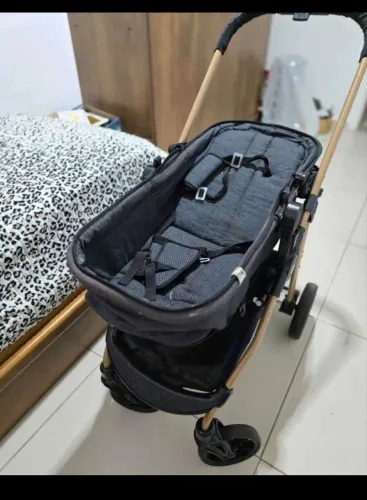 Carrinho de bebê Moisés