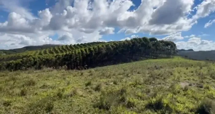 Belíssima Fazenda de 560 Hectares, Minduri-MG
