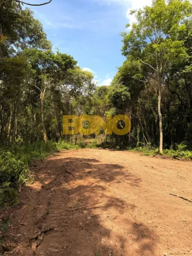 Chácara Caxias do Sul