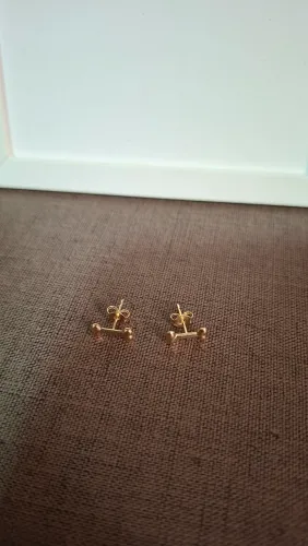 Brinco Ossinho Banhado a Ouro 18K Polido - Para Amantes de Pets