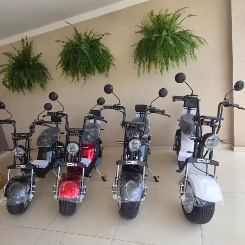 Scooter Eletrcia X13 OEK