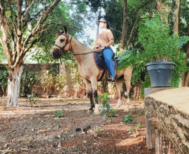 Vendo cavalo crioulo