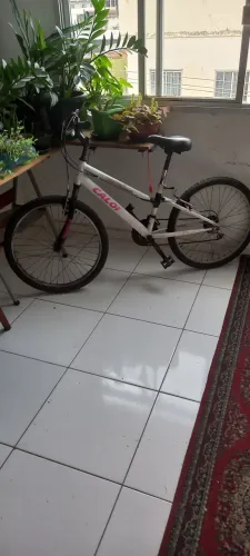 Vendo caloi aro 24
