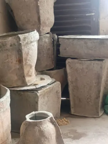 Forma de vasos de planta
