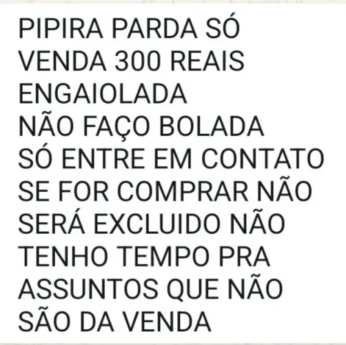 Vendo esse exemplar