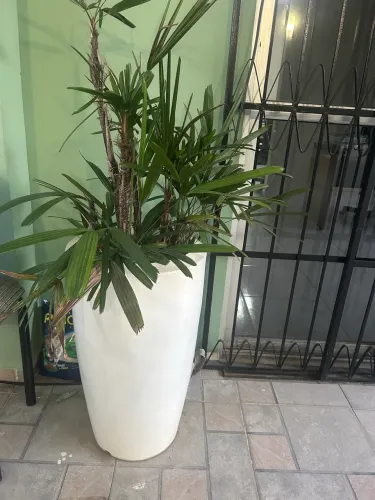 Vaso para planta