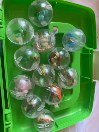 Pokémon na bola