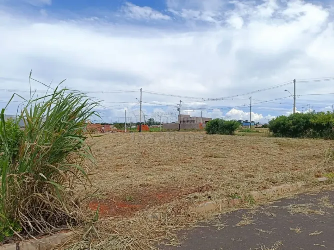 Terreno Padrão em Uchoa
