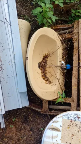 Doação vaso sanitário e pia lavatório 