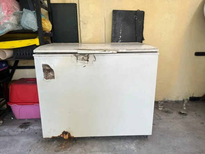 Freezer Electrolux 305 Litros