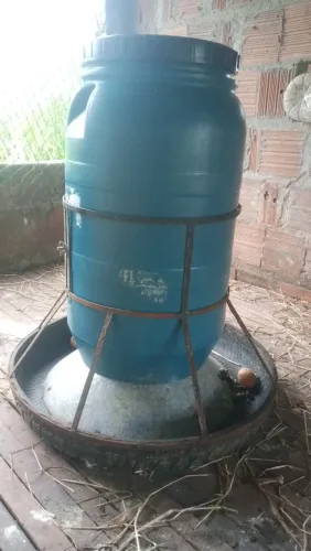 Comedor automático 
