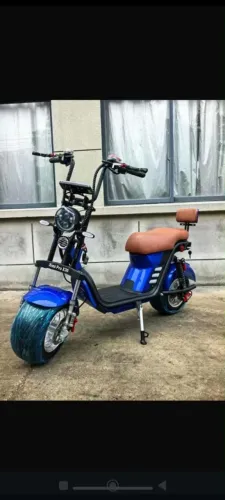 Scooters elétrica bicicleta elétrica 