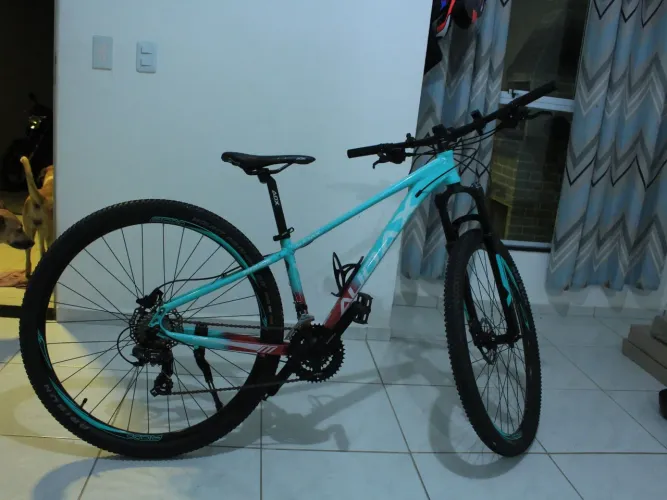 Bicicleta AUDAX Verde e rosa