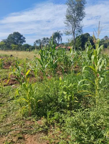Vendo ou troco um terreno 1.000m² douradinho 