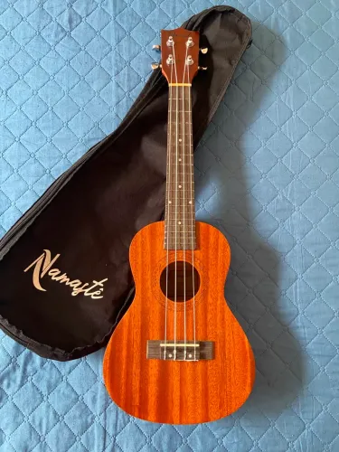 Ukulele Concert Namastê