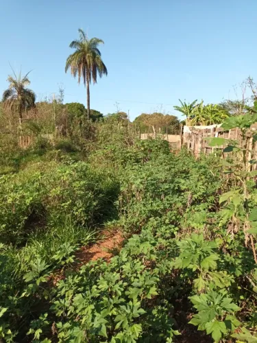 Terreno a venda em Luziânia GO, Jardim Planalto de 717 m².