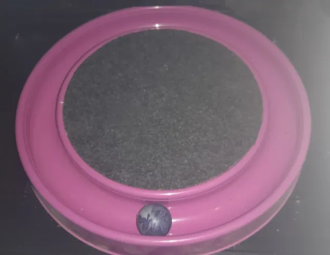Brinquedo de Gato (Bolinha + Arranhador de unha) | Semi-Novo | Gata não gostou |