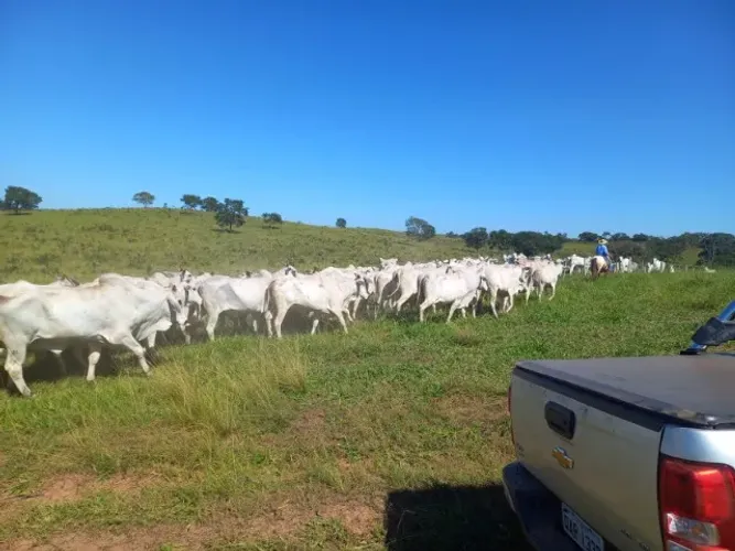 OPORTUNIDADE DE INVESTIMENTO - 102 ha em condomínio rural (camapuã/MS)