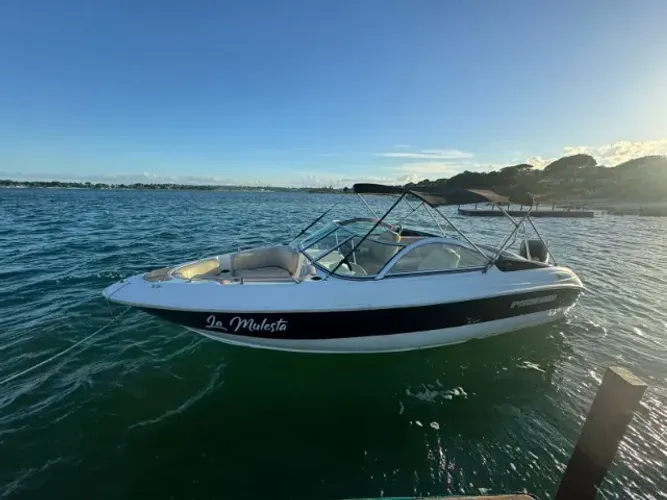 Lancha/Barco PHOENIX 23.5 pés | Motor Mercury Optimax 150hp 