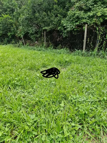 Vende se terreno na vila Embratel