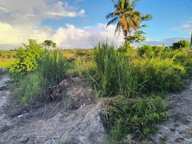Lote próximo do centro de Porto de Galinhas - Oportunidade!!
