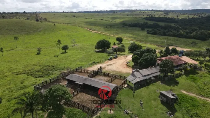 Fazenda à Venda em Rondon do Pará | 742 Alqueires | Pecuária