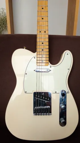 Fender Telecaster Standard MIM 2015