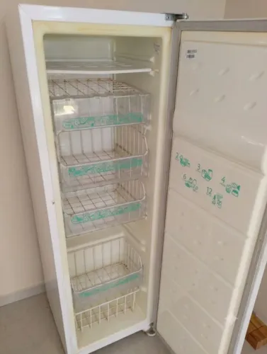 Freezer vertical