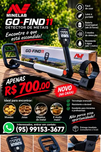 Detector de metais