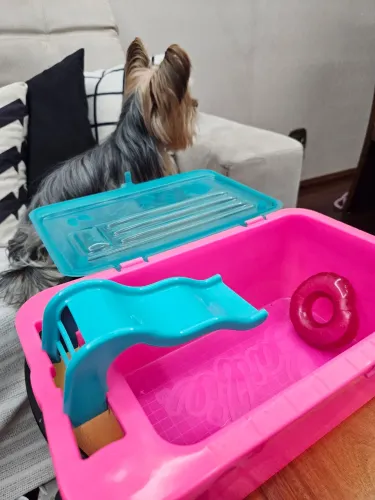 Piscina da barbie 