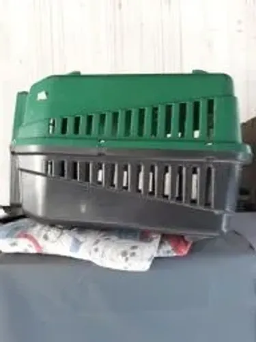 caixa de transporte média