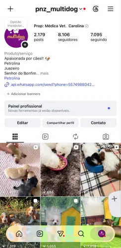 Machinho de Chihuahuas 