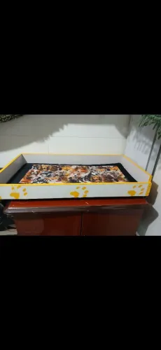 Vendo caminha pet e organizador 