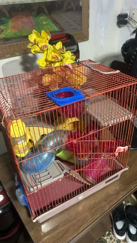 Casinha para Hamster
