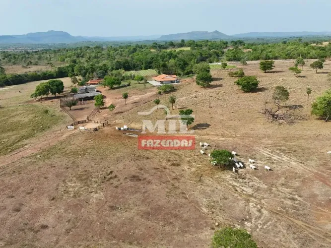 Fazenda 56 alqueires ( 271 hectares ) Crixas GO