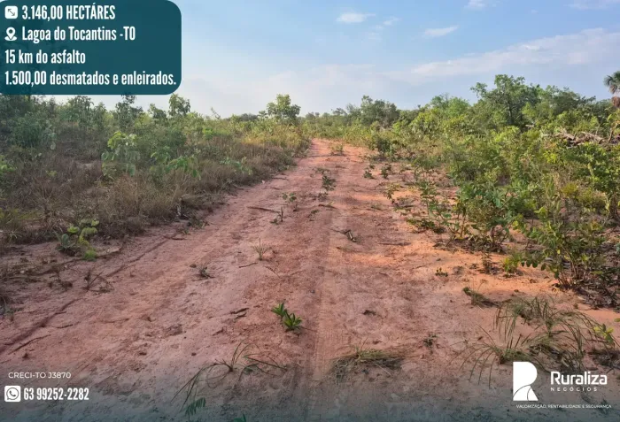 650 ALQUEIRES | 1.750 HA AGRICULTÁVEIS | 1.500 HA ABERTOS