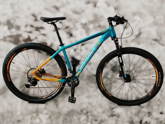 Bicicleta aro 29