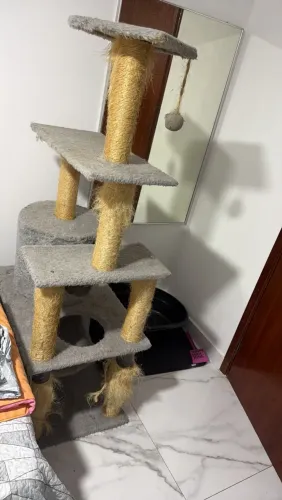 Brinquedo de gatinhos
