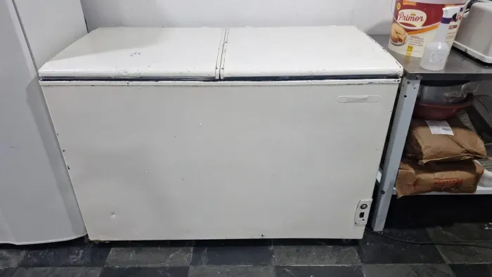Freezer Horizontal 