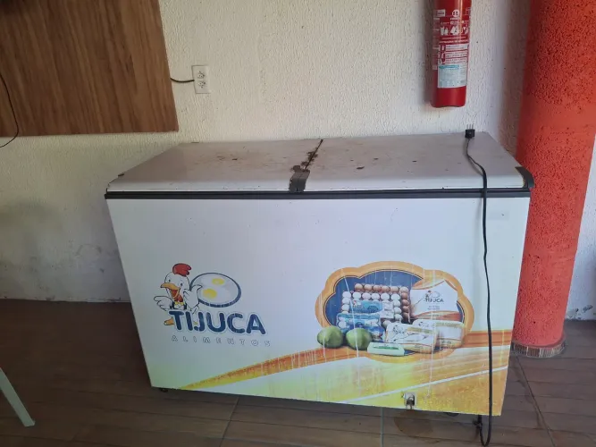 Freezer Horizontal 2 portas 534l Esmaltec