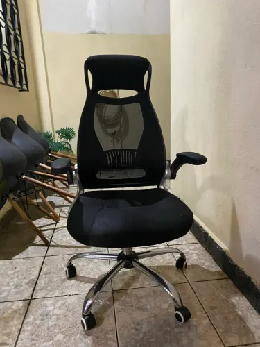 Cadeira orgonômica